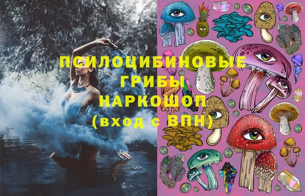 apvp Володарск